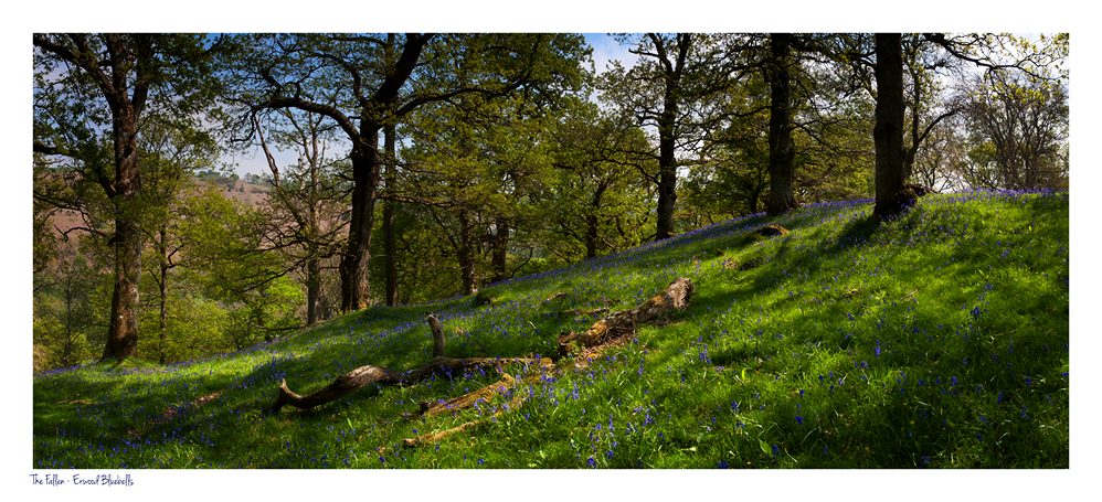 images from wales - Ian Nicholson Photography - Builth Wells